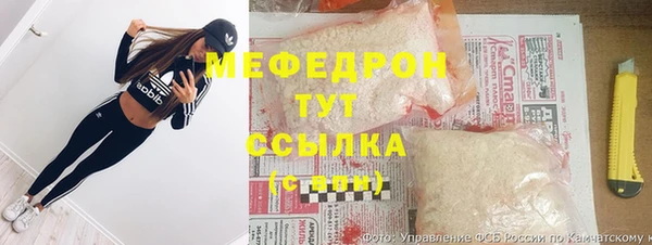 гашик Вяземский