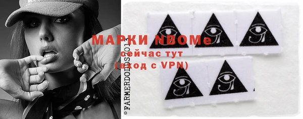 гашик Вяземский