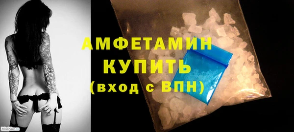 гашик Вяземский