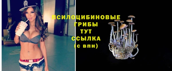 2c-b Вязники