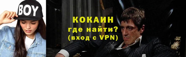 гашик Вяземский