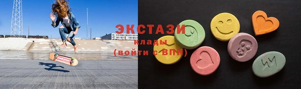 гашик Вяземский