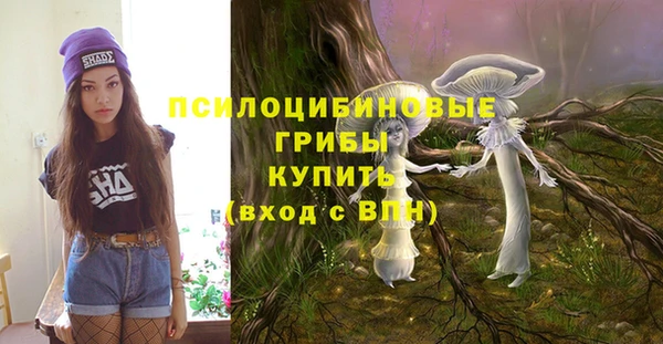 гашик Вяземский