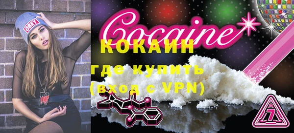 гашик Вяземский
