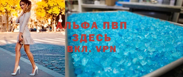 гашик Вяземский