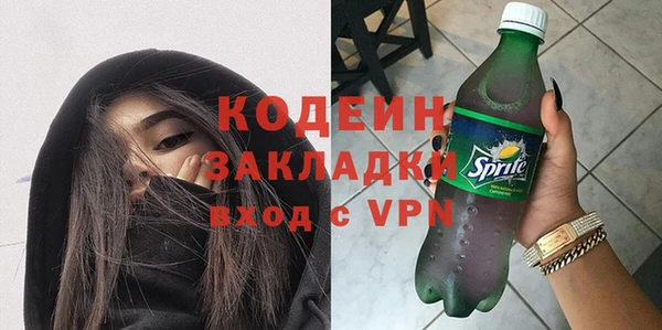 гашик Вяземский