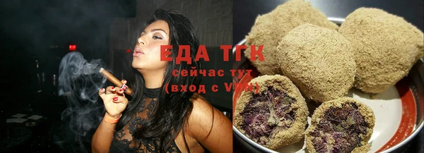 гашик Вяземский
