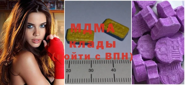 гашик Вяземский