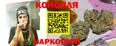мяу мяу мука Гай