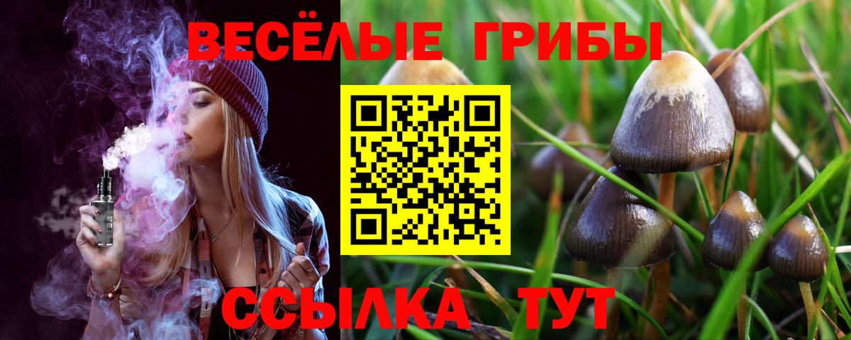 Галлюциногенные грибы GOLDEN TEACHER  Вход с VPN  купить   Ноябрьск  Псилоцибиновые грибы Cubensis 
